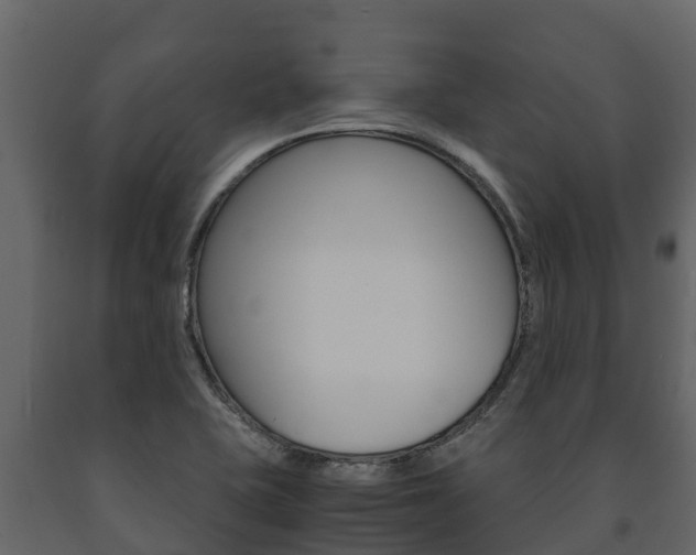 X0000091711415200708240946