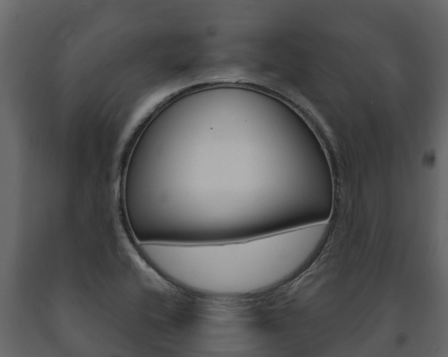 X0000091711416200708240946