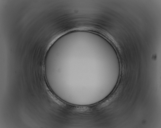 X0000091711417200708240946