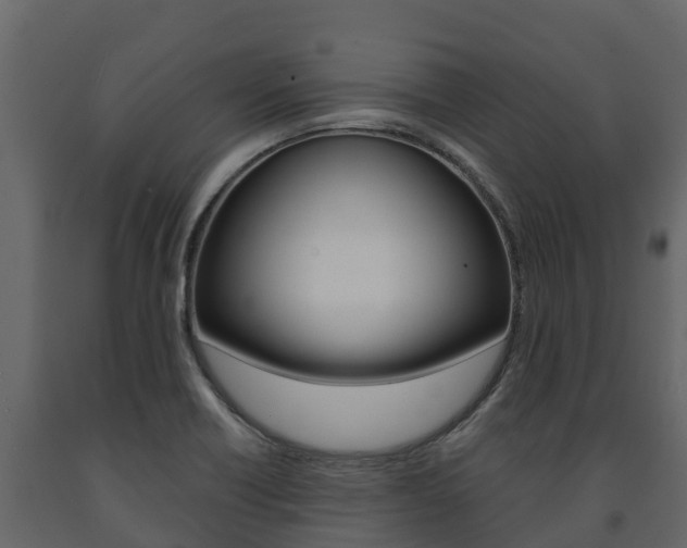 X0000091711418200708240946