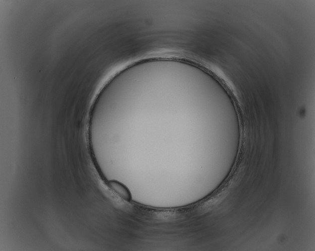 X0000091711421200708240946