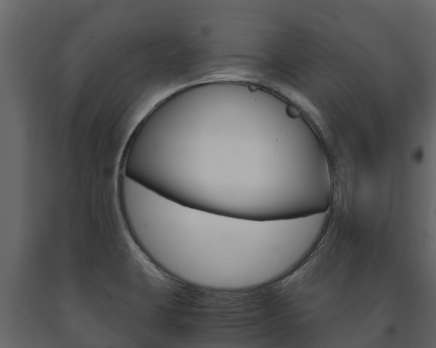 X0000091711423200708240946