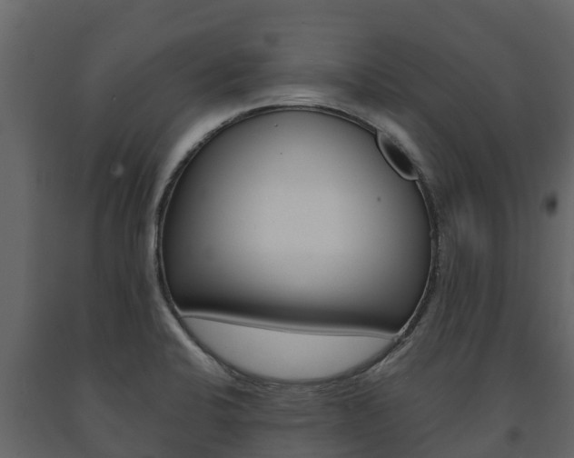 X0000091711424200708240946