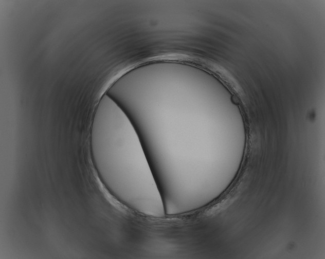 X0000091711425200708240946