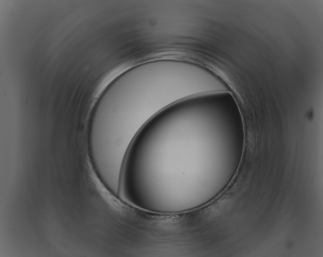 X0000091711426200708240946