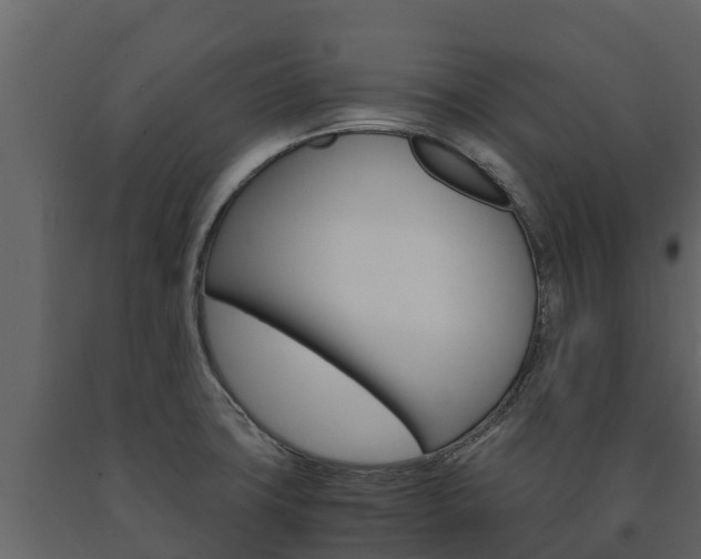 X0000091711427200708240946