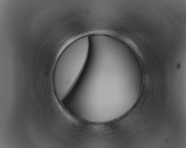 X0000091711428200708240946