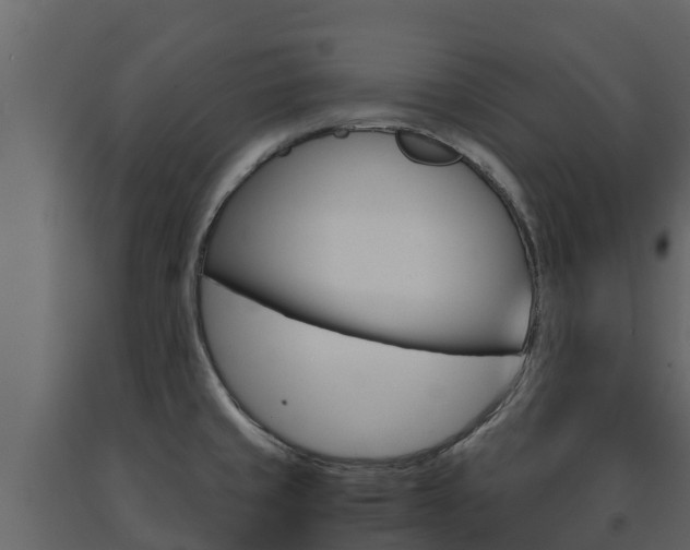 X0000091711429200708240946