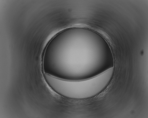 X0000091711430200708240946