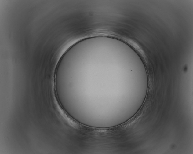 X0000091711431200708240947