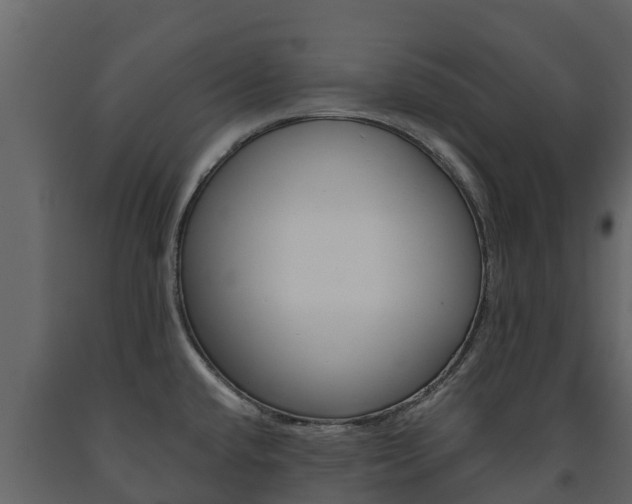 X0000091711432200708240947