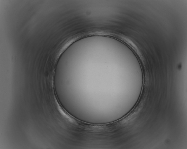 X0000091711433200708240947