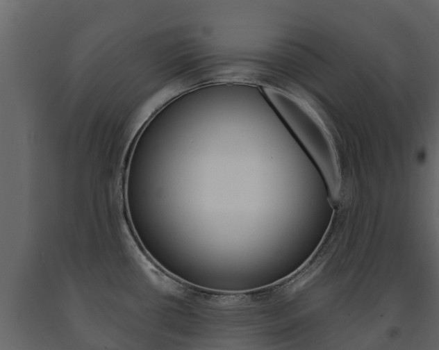 X0000091711434200708240947