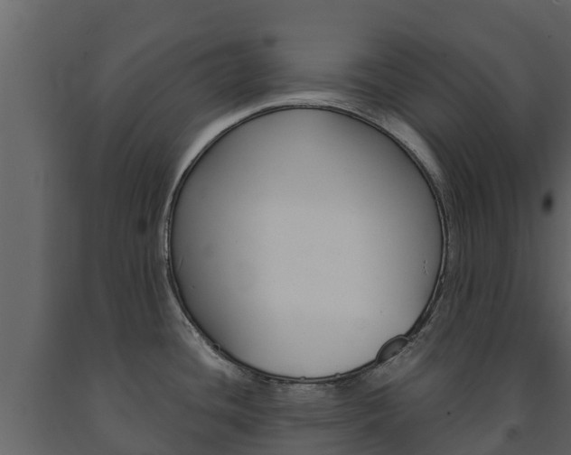 X0000091711436200708240947