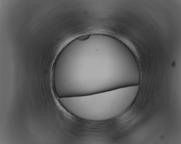 X0000091711439200708240947