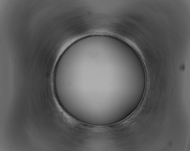 X0000091711440200708240947