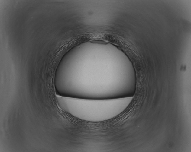 X0000091711441200708240946