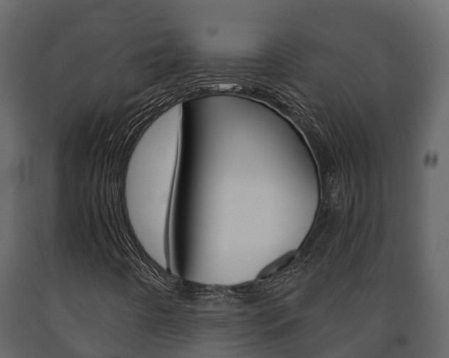 X0000091711442200708240946