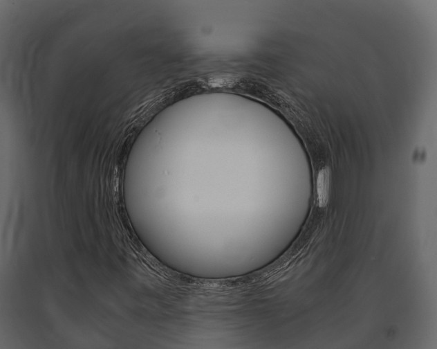 X0000091711443200708240946