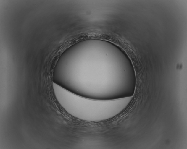 X0000091711445200708240946