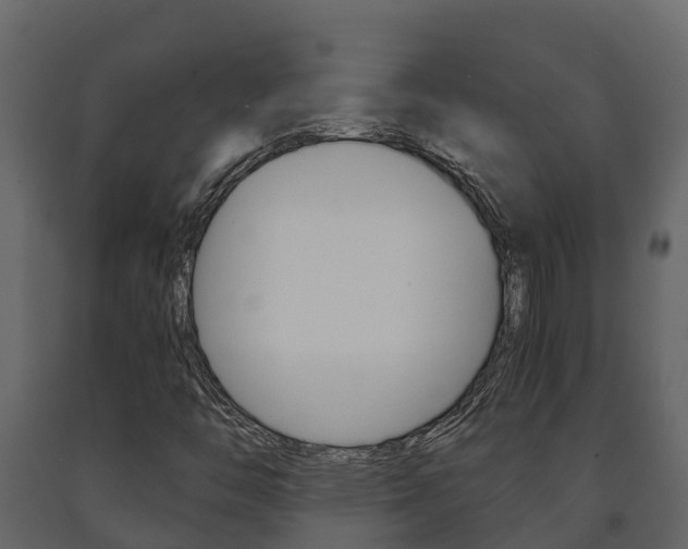 X0000091711446200708240946