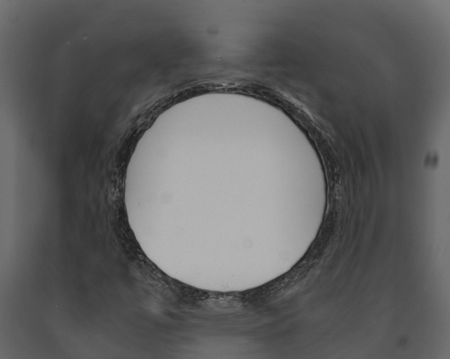 X0000091711447200708240946