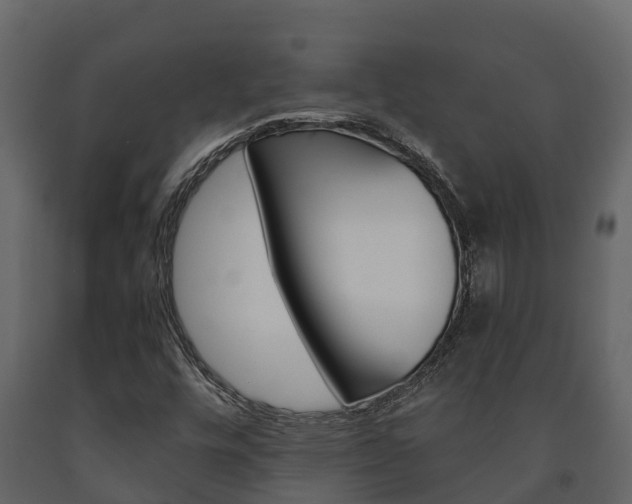 X0000091711448200708240946