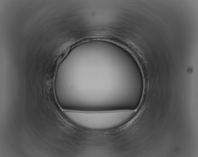 X0000091711449200708240946