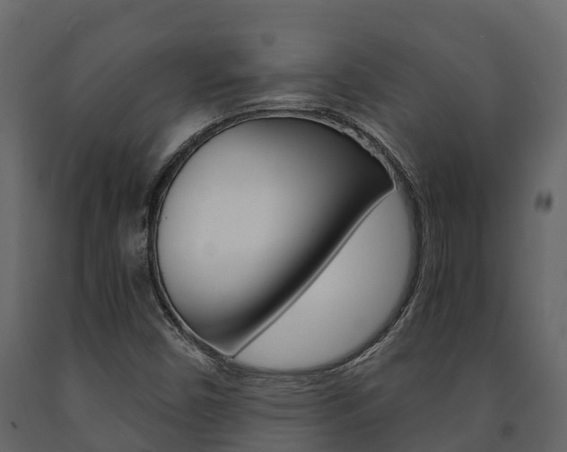 X0000091711450200708240946