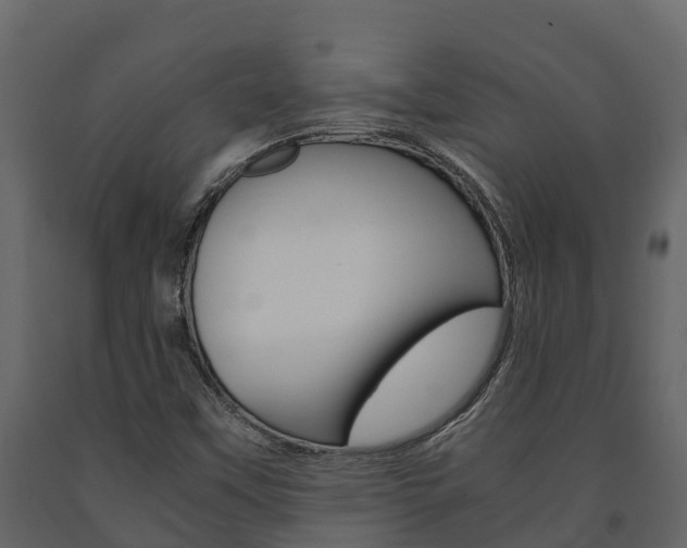 X0000091711451200708240946