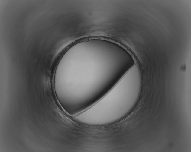 X0000091711452200708240946