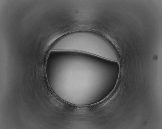 X0000091711453200708240946