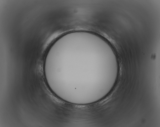 X0000091711454200708240946