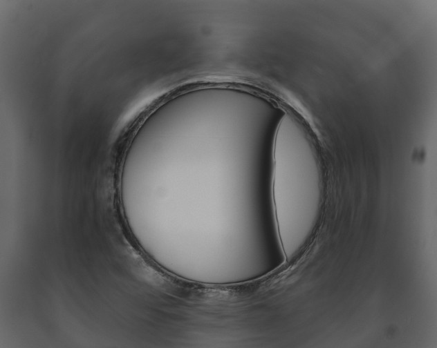 X0000091711456200708240946