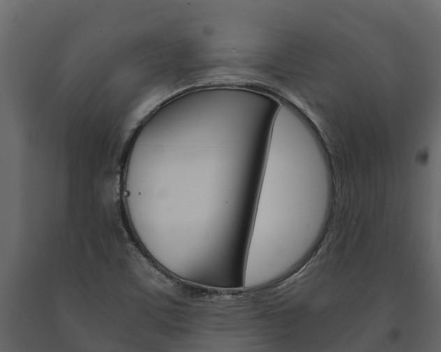 X0000091711459200708240946