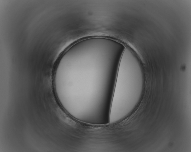 X0000091711460200708240946