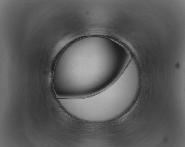 X0000091711461200708240946