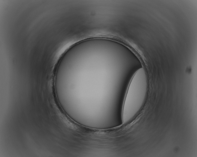 X0000091711463200708240946