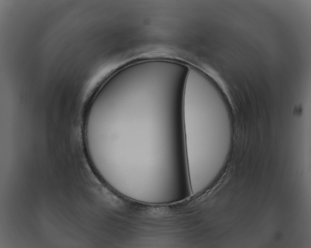 X0000091711464200708240946