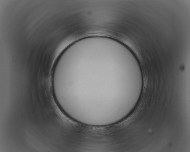 X0000091711466200708240946