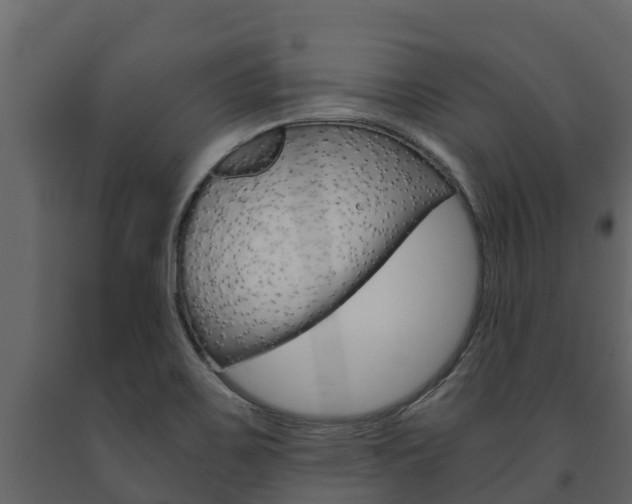 X0000091711467200708240946
