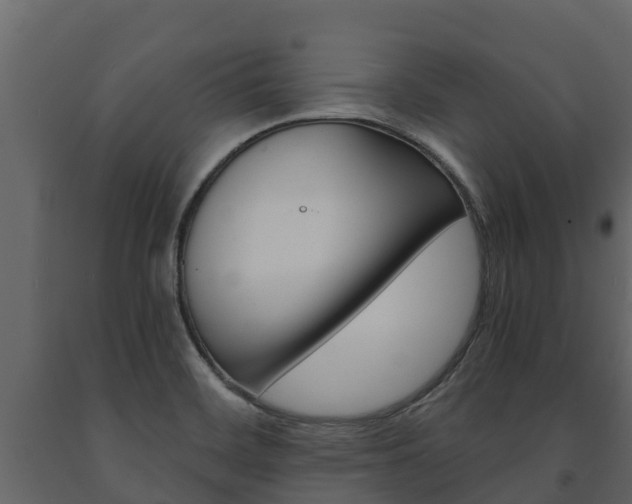 X0000091711468200708240946