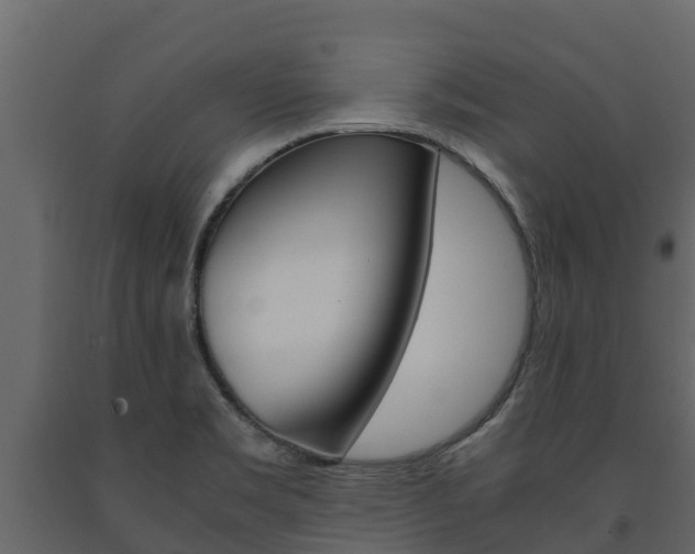 X0000091711469200708240946