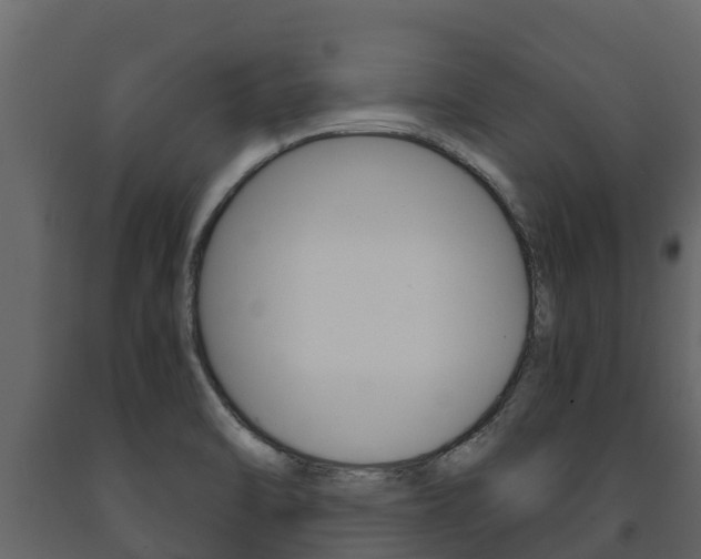 X0000091711470200708240946