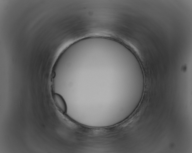 X0000091711471200708240946