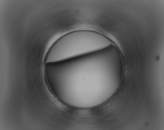 X0000091711472200708240946