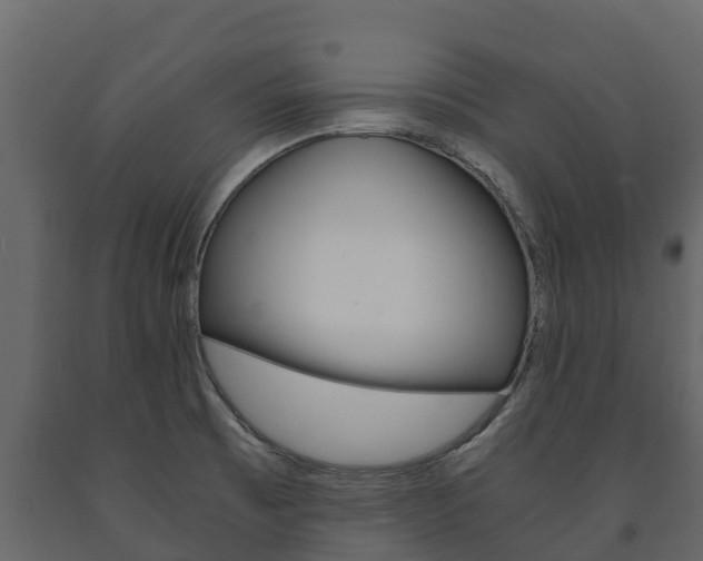 X0000091711473200708240946