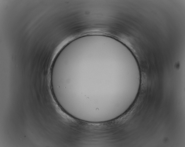 X0000091711474200708240946