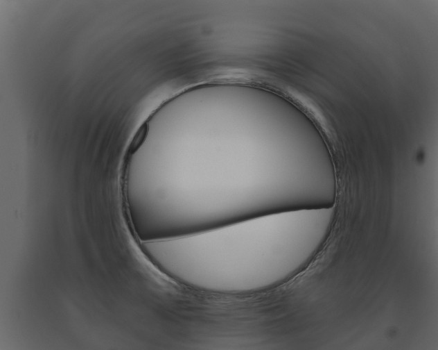 X0000091711475200708240945