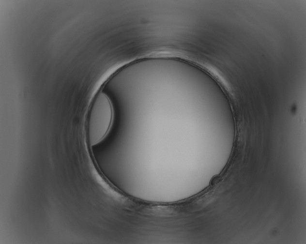 X0000091711476200708240945